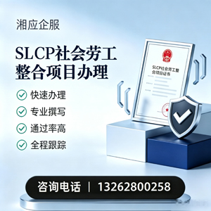 保定SLCP社会劳工整合项目申报服务