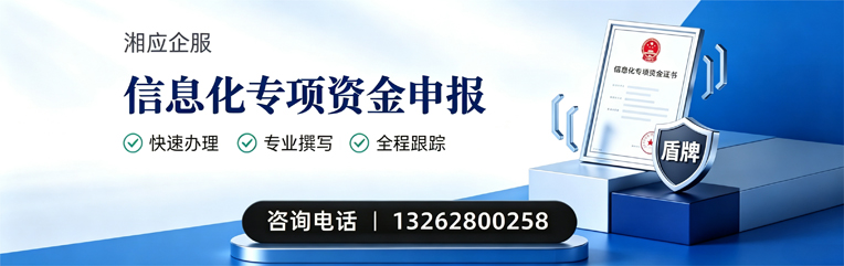 保定信息化专项资金申报服务