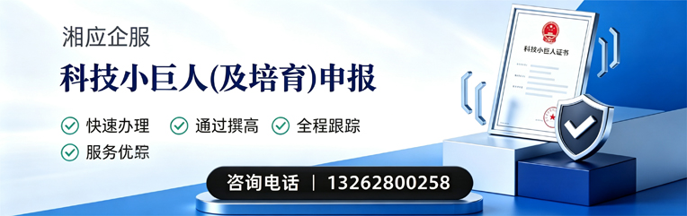 保定科技小巨人及培育企业申报服务
