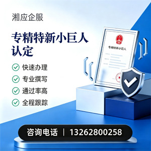 保定专精特新小巨人申报服务