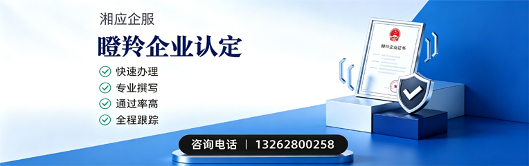 保定瞪羚企业认定申报服务