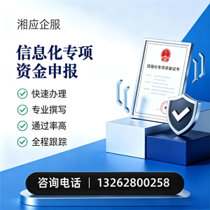 保定信息化专项资金申报服务