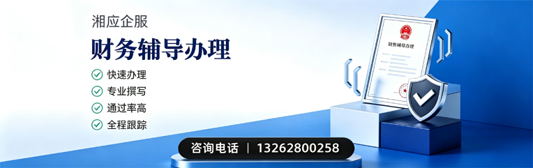 保定财务辅导申请服务