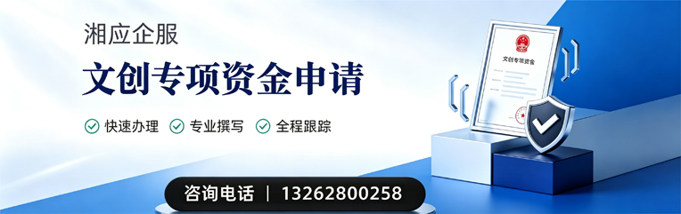 保定文创专项资金申报服务