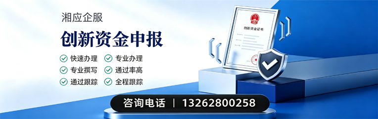 保定创新资金申报服务