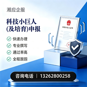 保定科技小巨人及培育企业申报服务