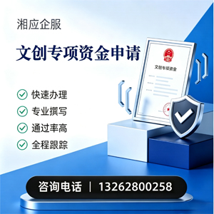 保定文创专项资金申报服务