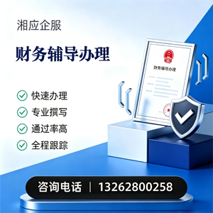 保定财务辅导申请服务