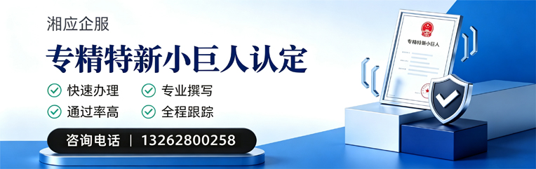 保定专精特新小巨人申报服务
